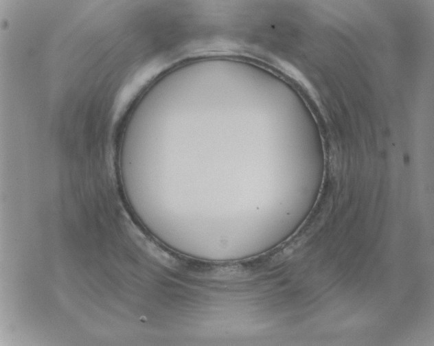 X0000073901464200609082136