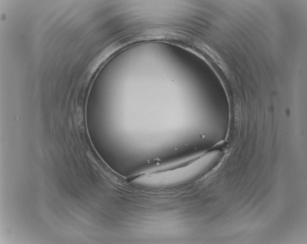 X0000073901465200609082136