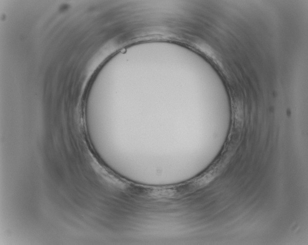 X0000073901466200609082135