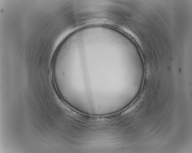 X0000073901467200609082135