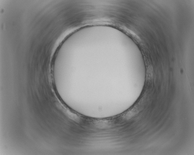 X0000073901470200609082135