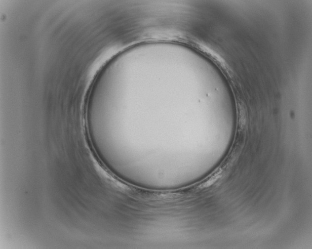 X0000073901471200609082135