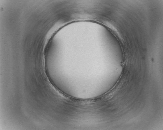 X0000073901472200609082135