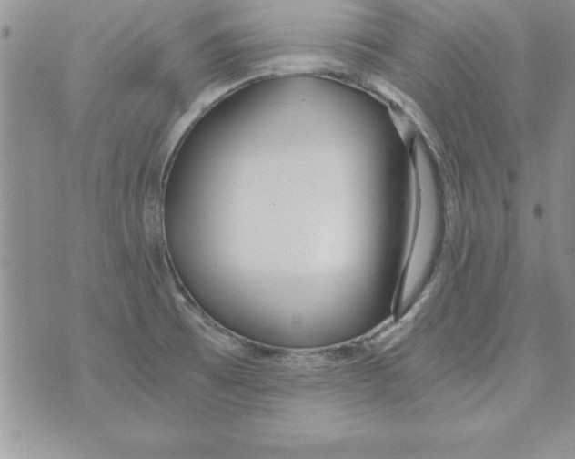 X0000073901473200609082135