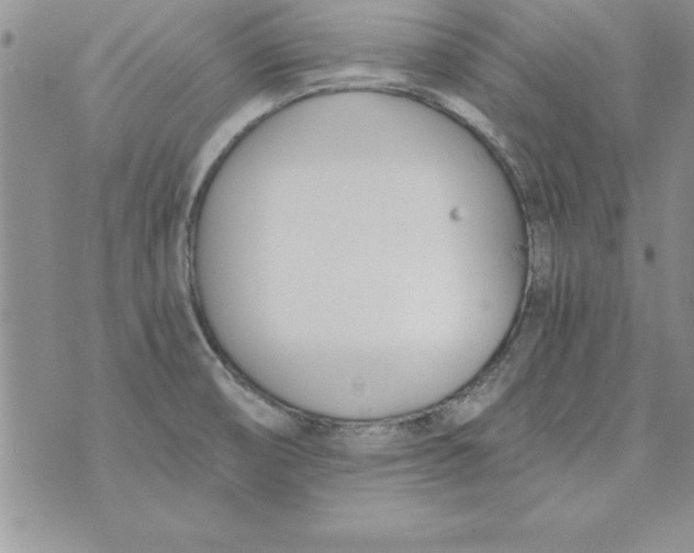 X0000073901474200609082135