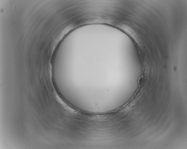 X0000073901476200609082135