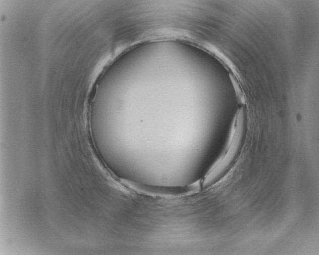 X0000073901477200609082135