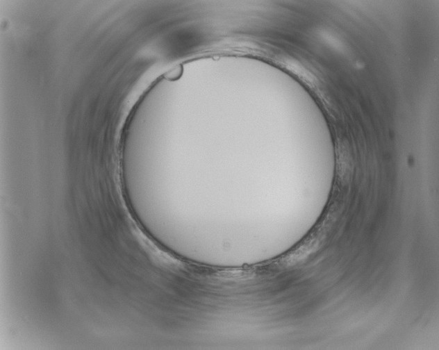 X0000073901478200609082135