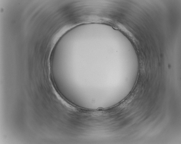 X0000073901479200609082135