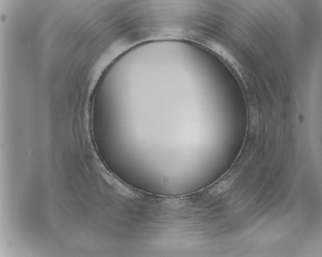 X0000073901480200609082135