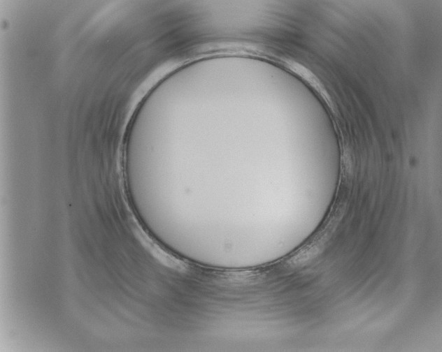 X0000073901482200609082135