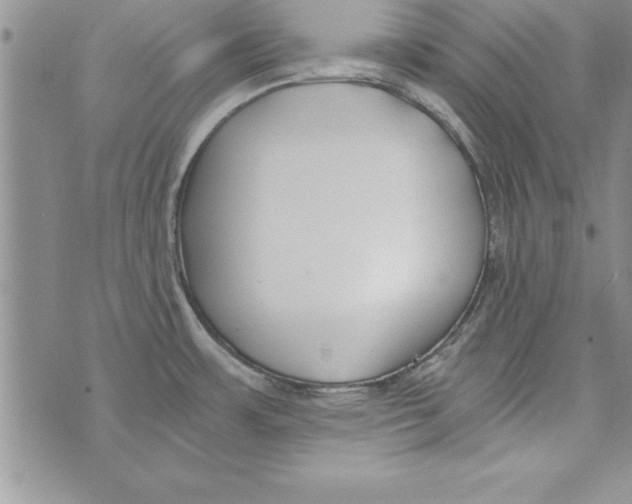 X0000073901483200609082135