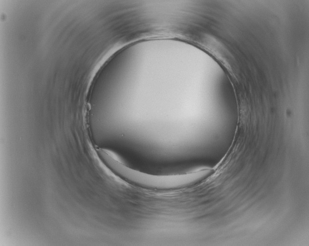 X0000073901484200609082135