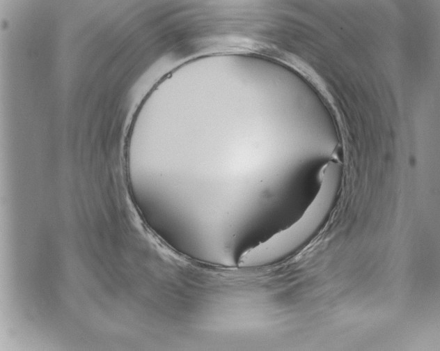 X0000073901488200609082135