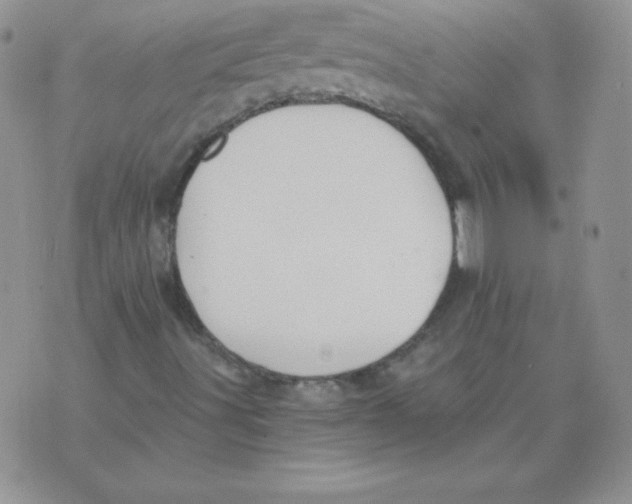 X0000073901491200609082134