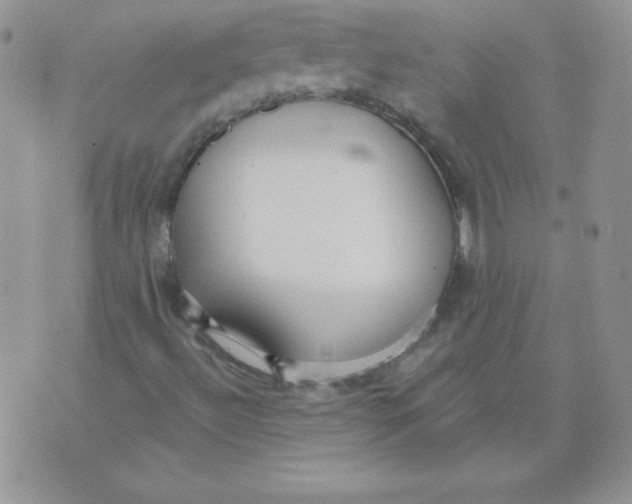 X0000073901492200609082134