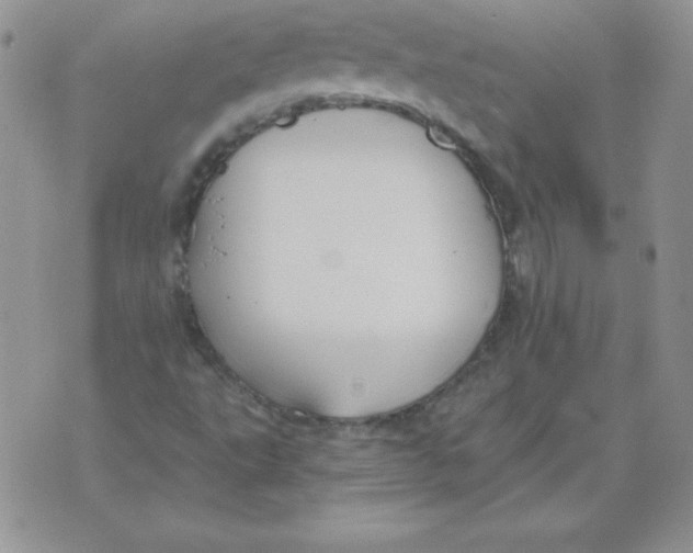 X0000073901495200609082134