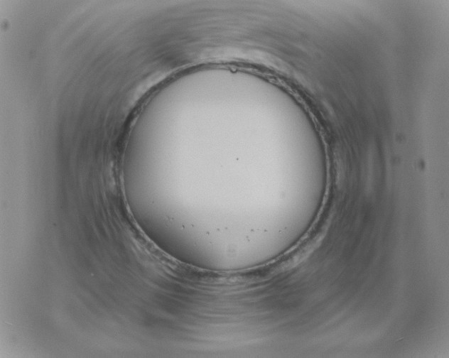 X0000073901497200609082134