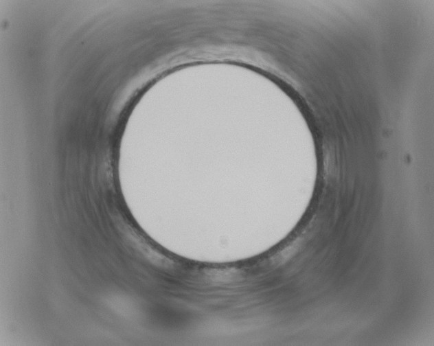 X0000073901498200609082135