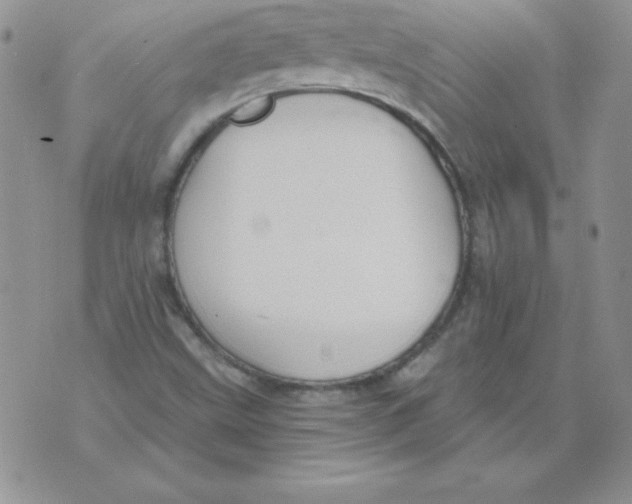 X0000073901499200609082135