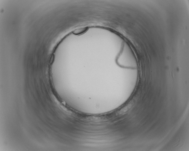 X0000073901500200609082135