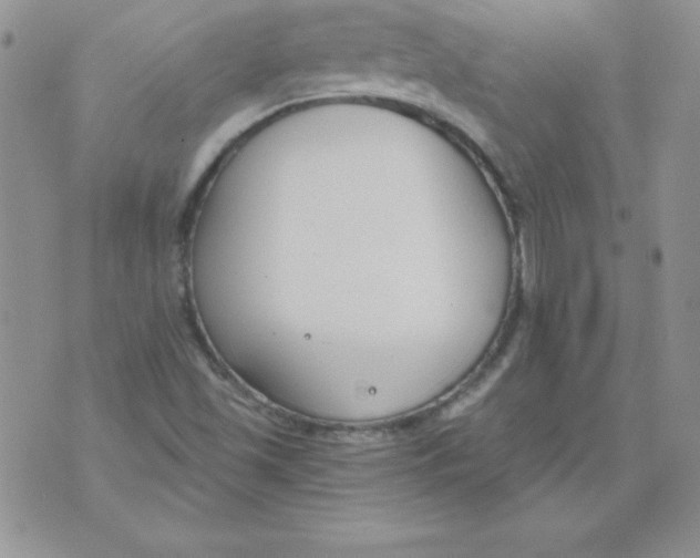 X0000073901501200609082135