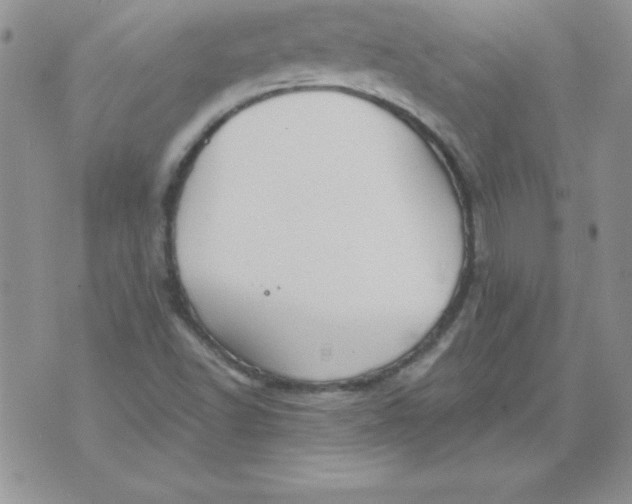 X0000073901502200609082135