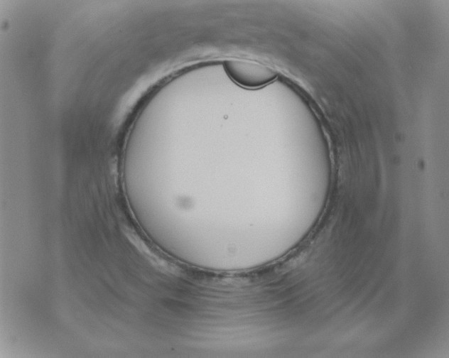 X0000073901503200609082135