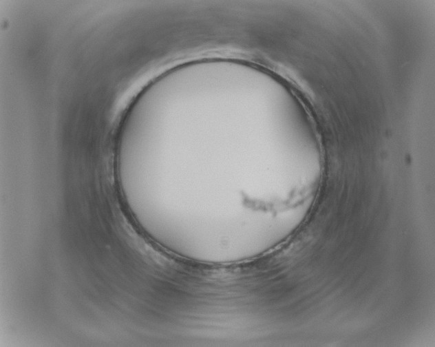 X0000073901504200609082135