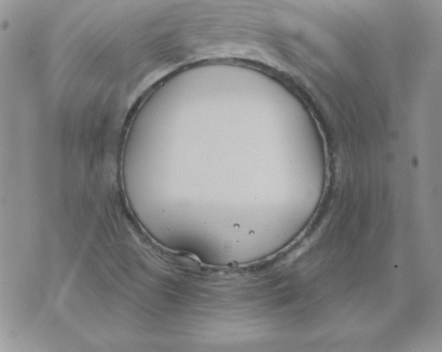 X0000073901505200609082135