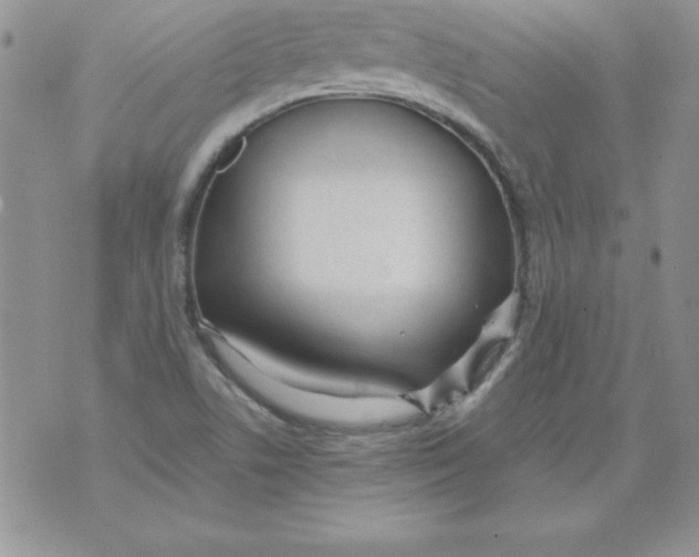 X0000073901506200609082135