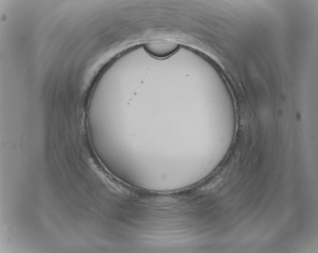 X0000073901507200609082135