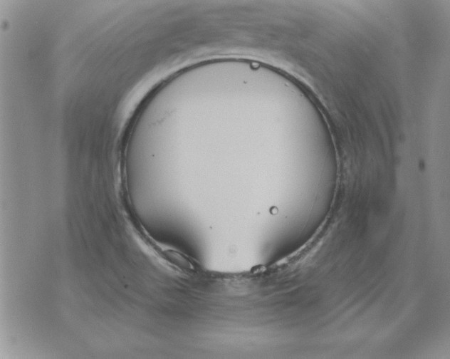 X0000073901511200609082135