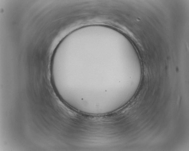 X0000073901512200609082135