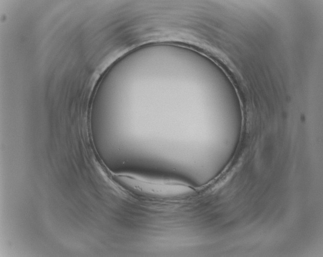 X0000073901513200609082135