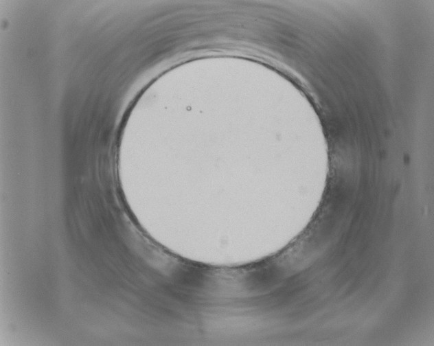 X0000073901514200609082135