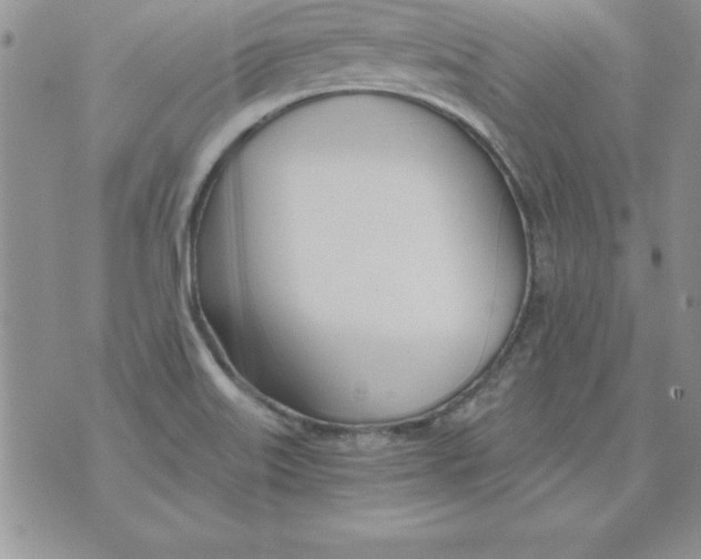 X0000073901515200609082135