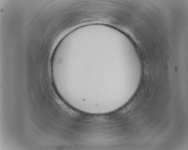 X0000073901516200609082135