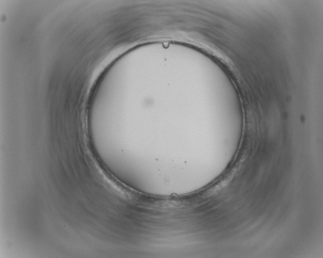 X0000073901517200609082135