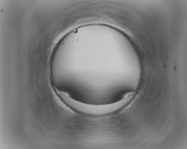 X0000073901518200609082135