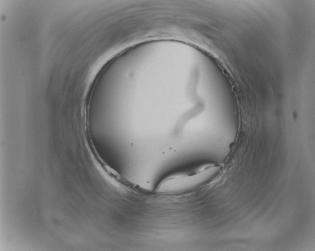 X0000073901519200609082135