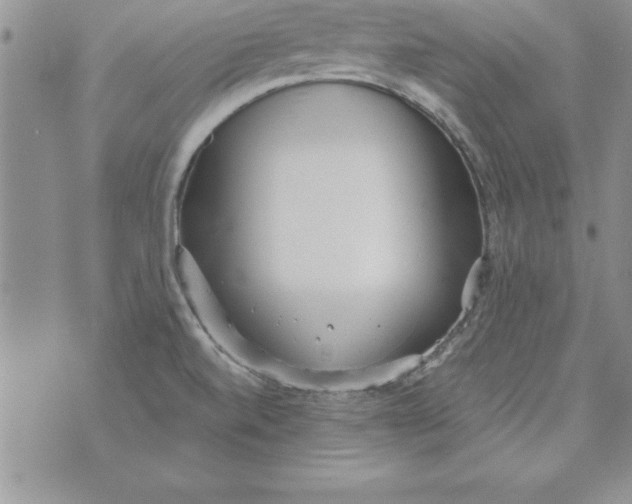 X0000073901520200609082135