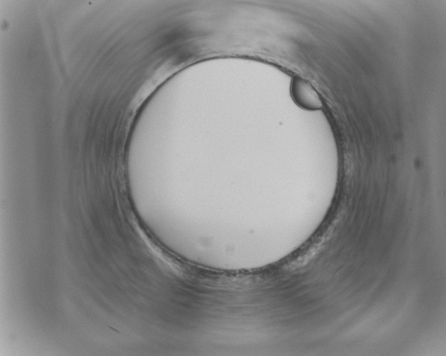 X0000073901521200609082135