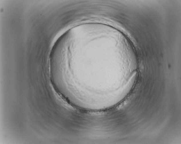 X0000073901522200609082135