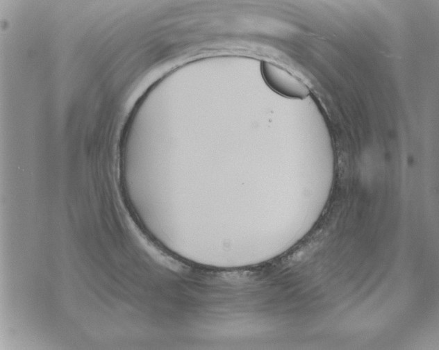 X0000073901523200609082135