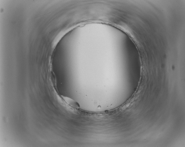 X0000073901524200609082135