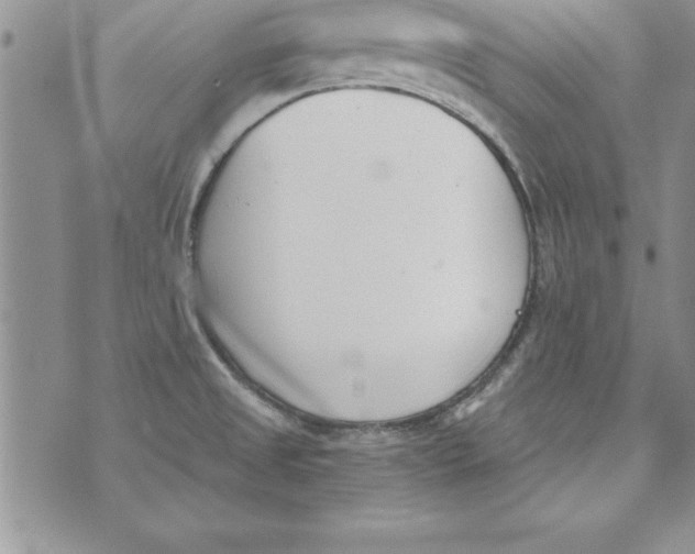 X0000073901525200609082135