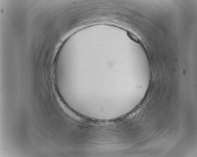 X0000073901526200609082135