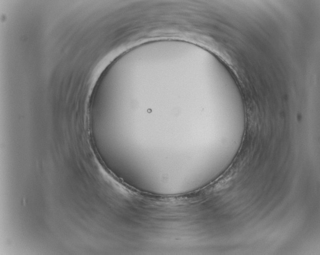 X0000073901527200609082135