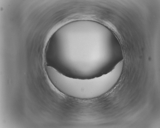 X0000073901528200609082135